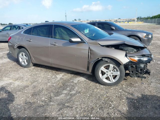 chevrolet malibu 2024 1g1zb5st7rf106115