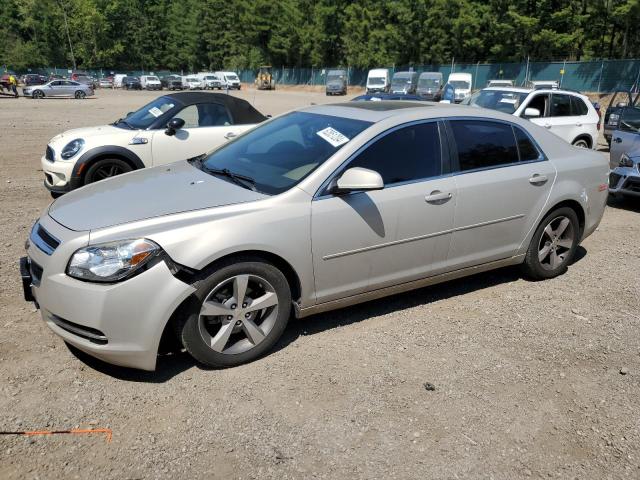 chevrolet malibu 2011 1g1zc5e10bf131919