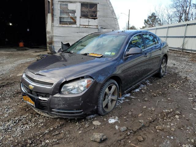 chevrolet malibu 1lt 2011 1g1zc5e13bf116797