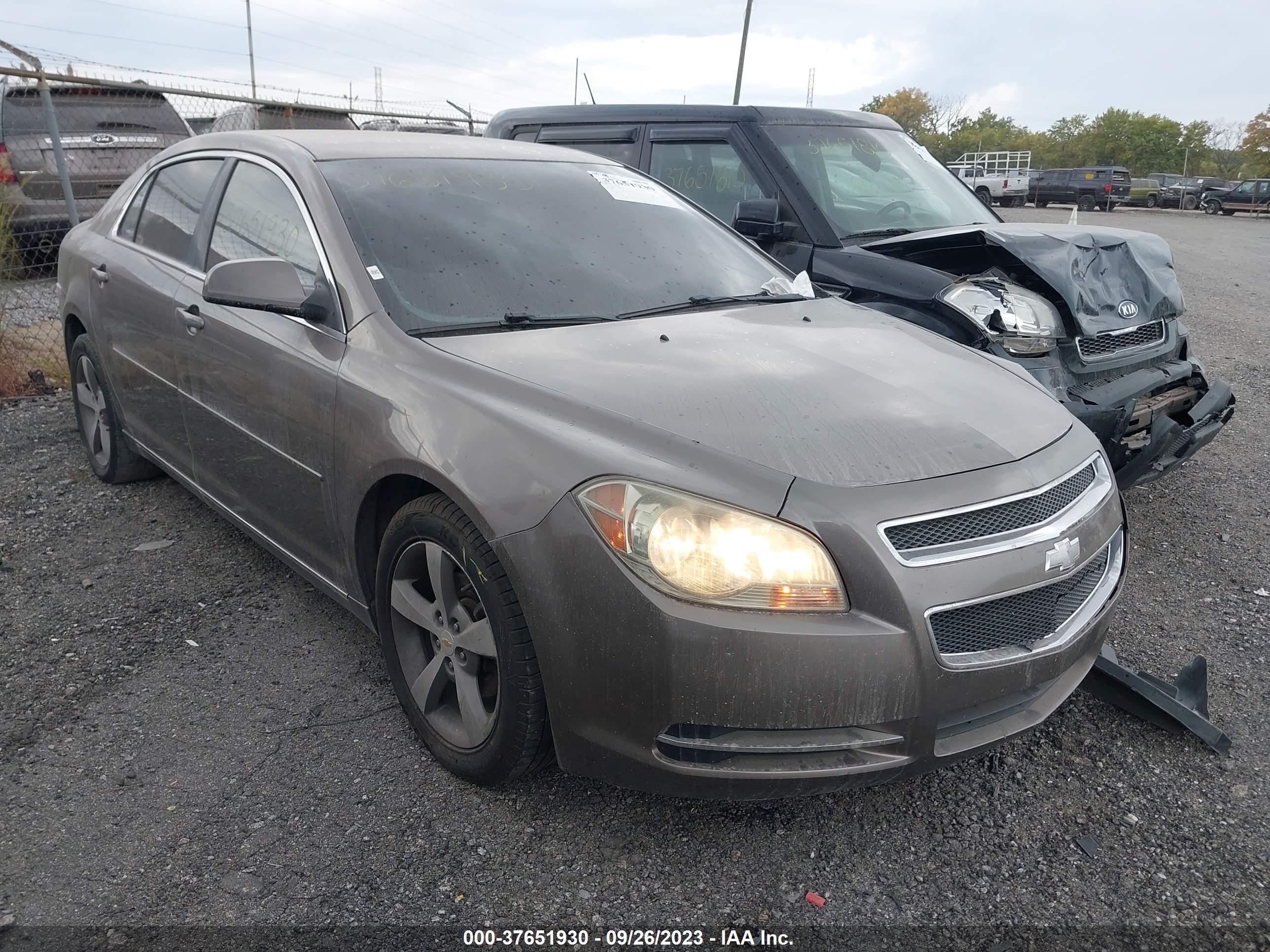 chevrolet malibu 2011 1g1zc5e13bf177969