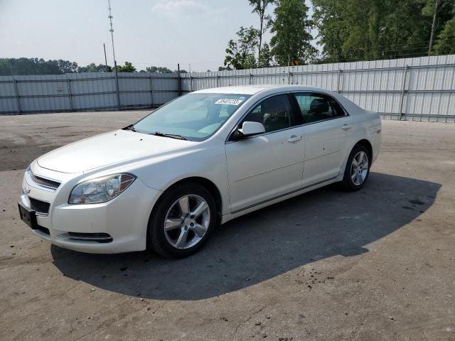 chevrolet malibu 1lt 2011 1g1zc5e13bf294872