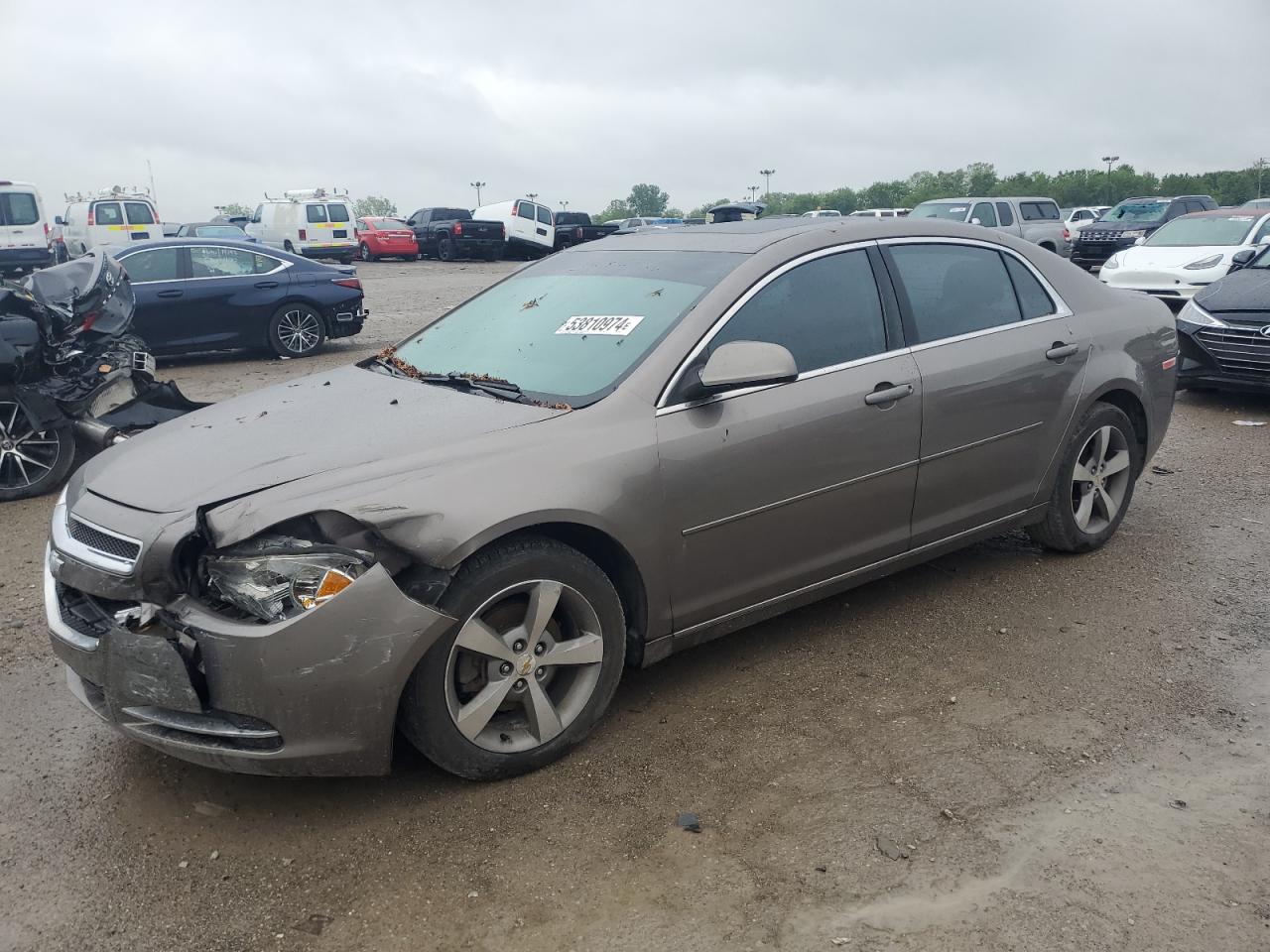 chevrolet malibu 2011 1g1zc5e13bf317471