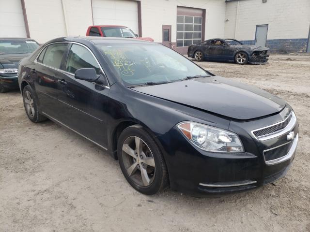 chevrolet malibu 1lt 2011 1g1zc5e14bf113231