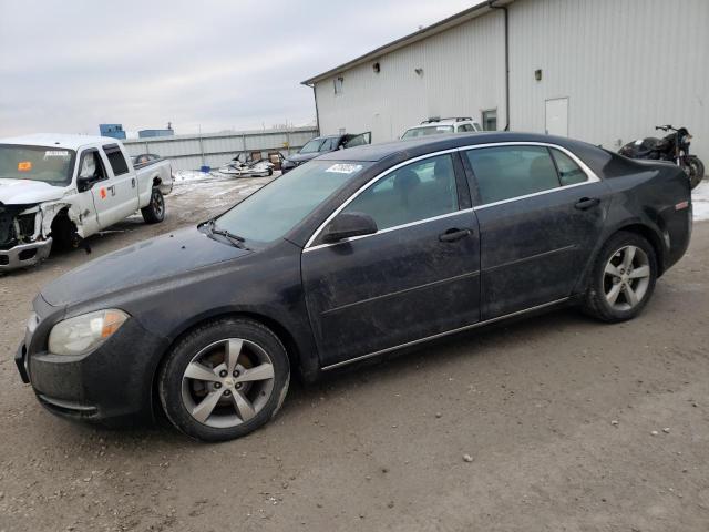 chevrolet malibu 1lt 2011 1g1zc5e14bf184171