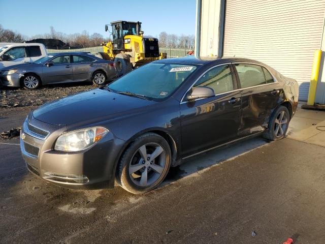 chevrolet malibu 2011 1g1zc5e16bf209605