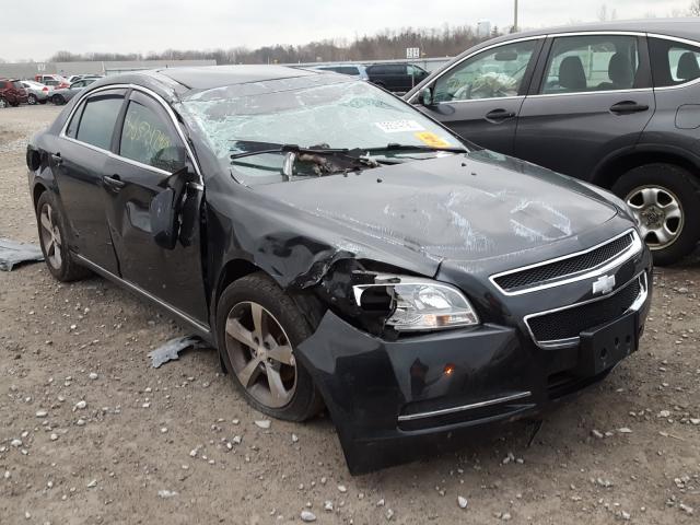 chevrolet malibu 1lt 2011 1g1zc5e18bf305803