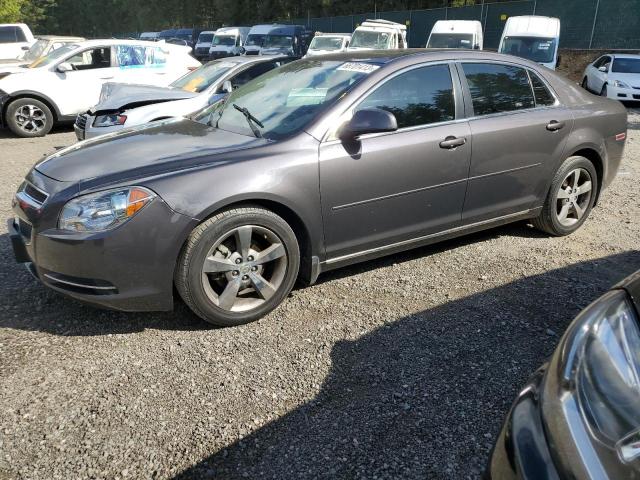 chevrolet malibu 1lt 2011 1g1zc5e19bf126329