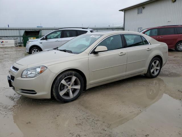 chevrolet malibu 1lt 2011 1g1zc5e19bf206214