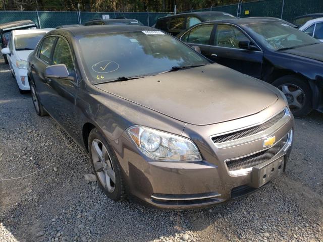 chevrolet malibu 1lt 2011 1g1zc5e1xbf206528