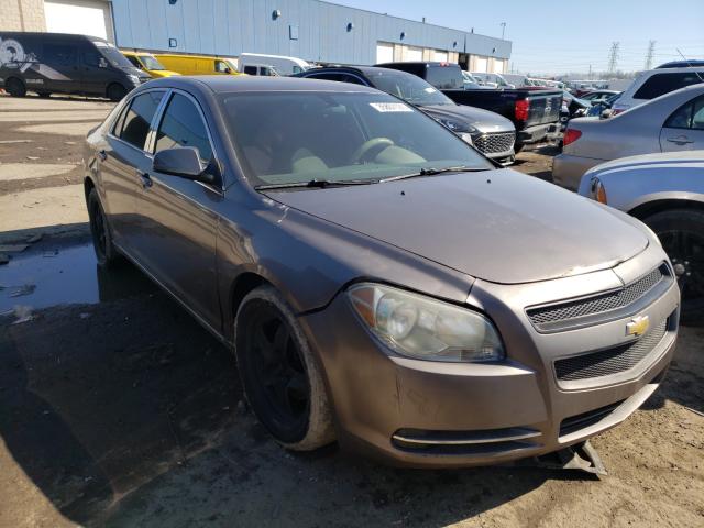 chevrolet malibu 1lt 2010 1g1zc5eb0af234281