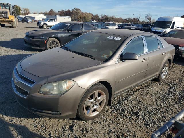 chevrolet malibu 1lt 2010 1g1zc5eb1af102646