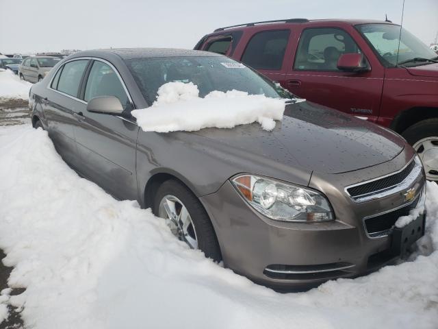 chevrolet malibu 1lt 2010 1g1zc5eb3af242438