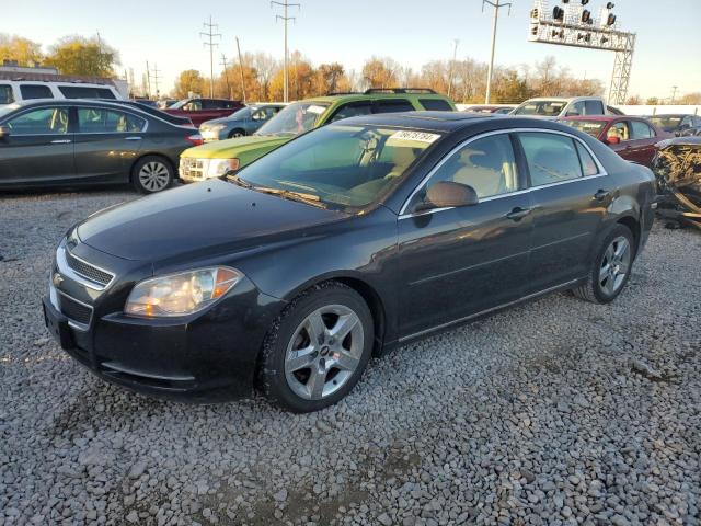 chevrolet malibu 2010 1g1zc5eb5af162199