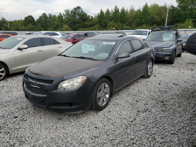 chevrolet malibu 2lt 2010 1g1zd5eb4af231560