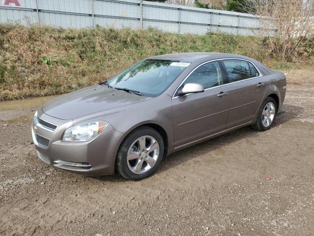 chevrolet malibu 2lt 2010 1g1zd5eb4af317970