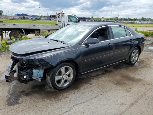 chevrolet malibu 2010 1g1zd5eb7af137205