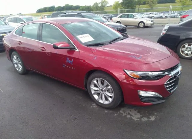 chevrolet malibu 2019 1g1zd5st1kf113965