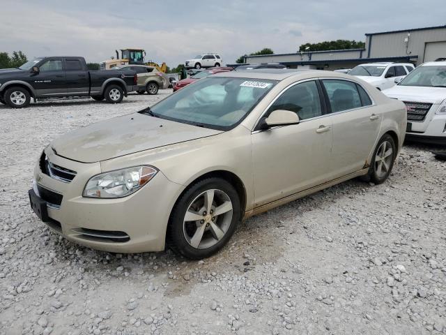 chevrolet malibu 2009 1g1zj57b19f216807