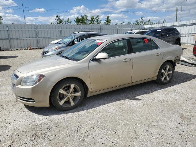 chevrolet malibu 2lt 2009 1g1zj57b49f155811