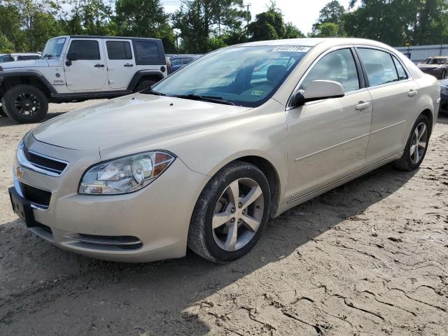 chevrolet malibu 2009 1g1zj57b694211131