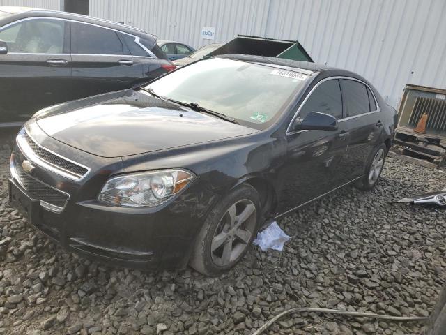 chevrolet malibu 2lt 2009 1g1zj57b99f257654