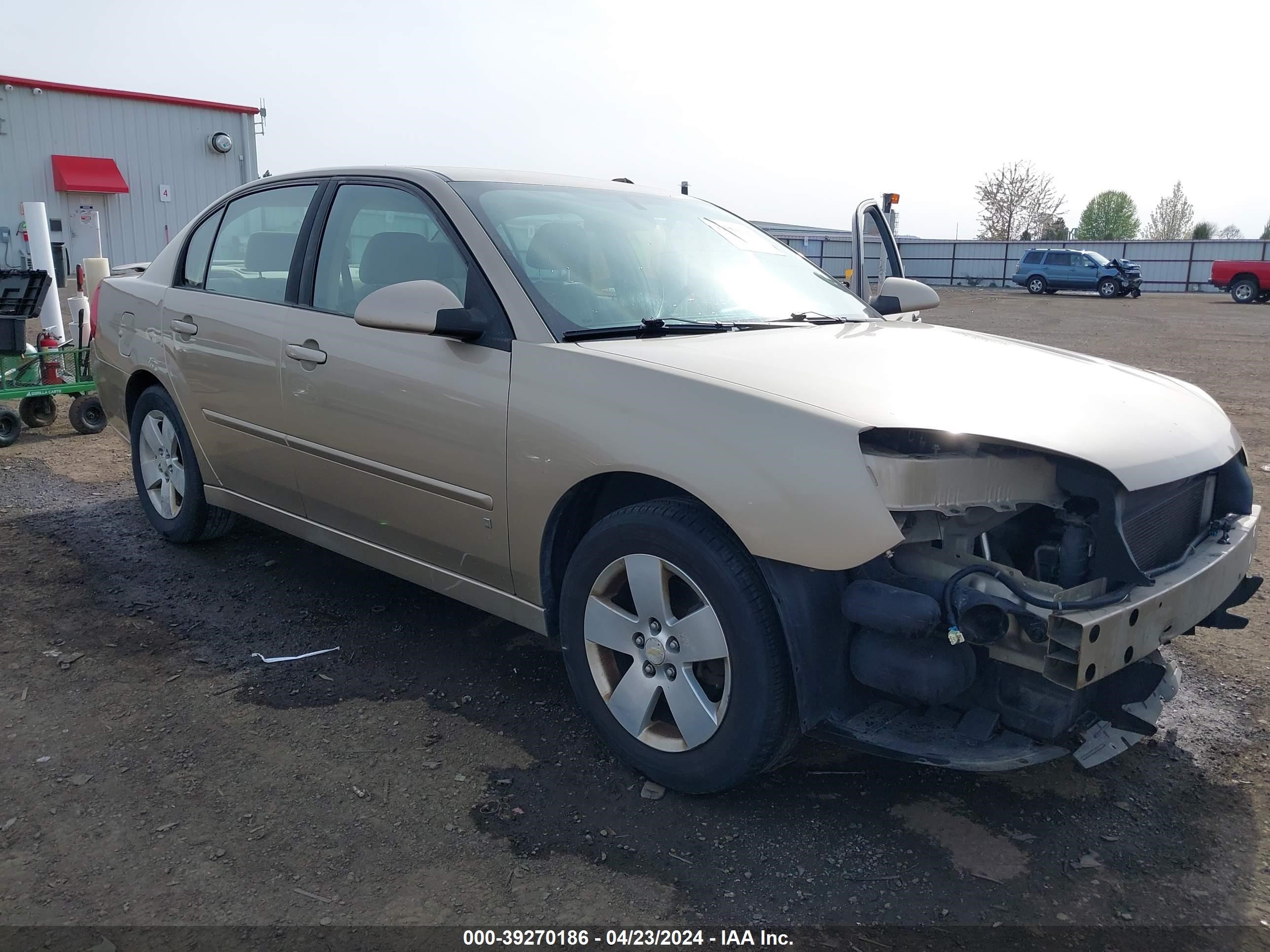 chevrolet malibu 2006 1g1zt51846f113609