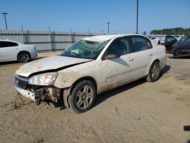 chevrolet malibu lt 2006 1g1zt51846f159277