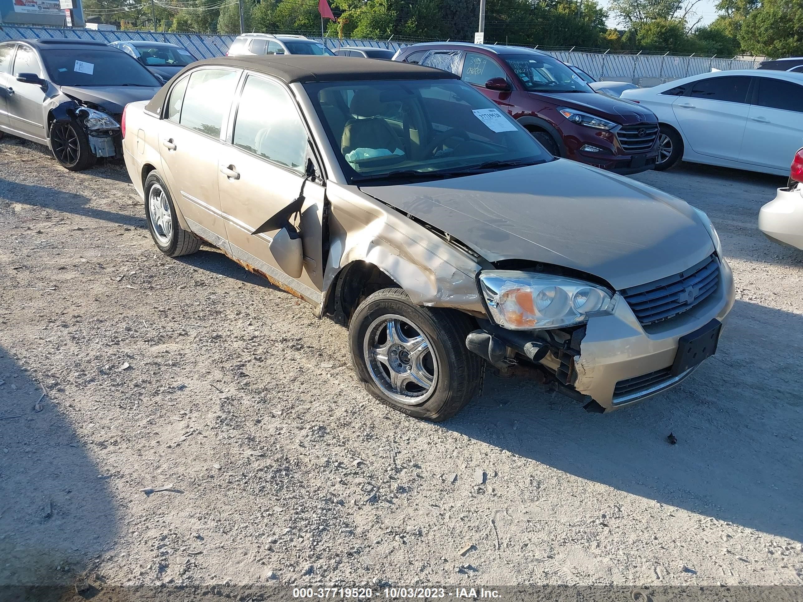 chevrolet malibu 2006 1g1zt51f06f283058