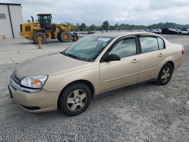 chevrolet malibu ls 2005 1g1zt52825f254014