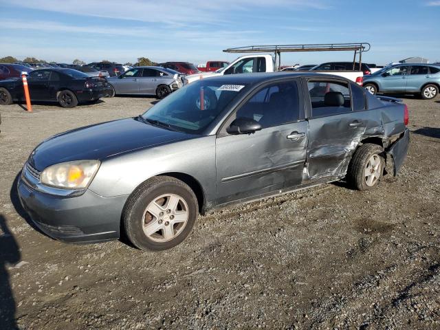 chevrolet malibu 2005 1g1zt54805f111981