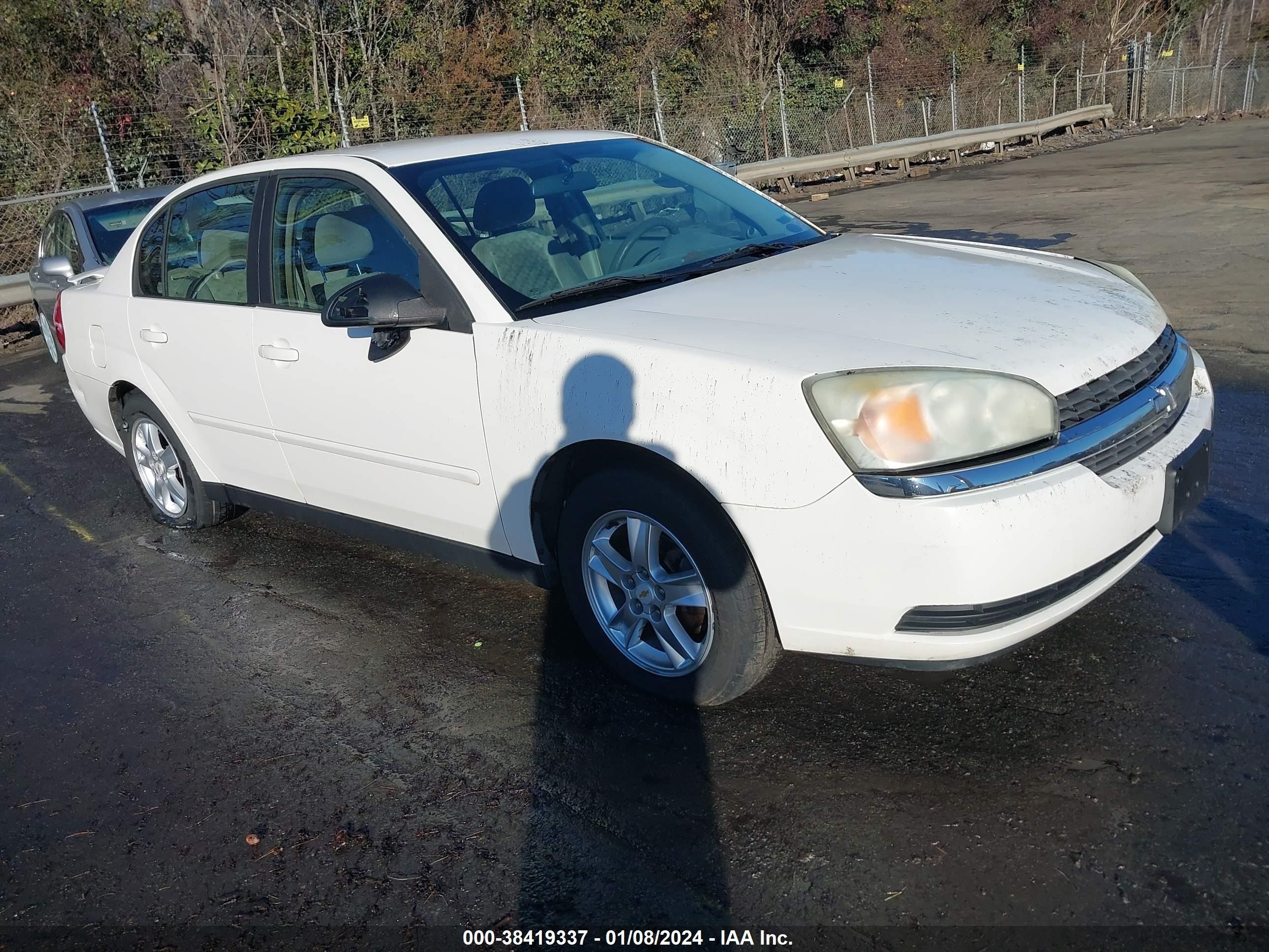 chevrolet malibu 2005 1g1zt54805f191430