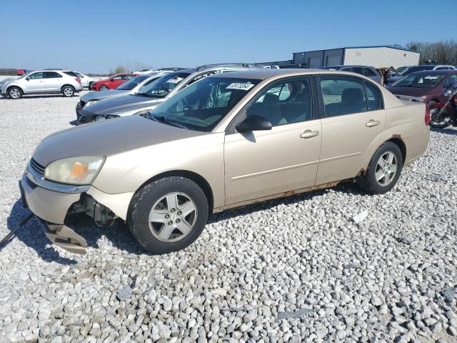 chevrolet malibu 2005 1g1zt54805f219890