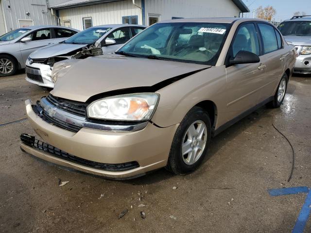 chevrolet malibu ls 2005 1g1zt54825f274812