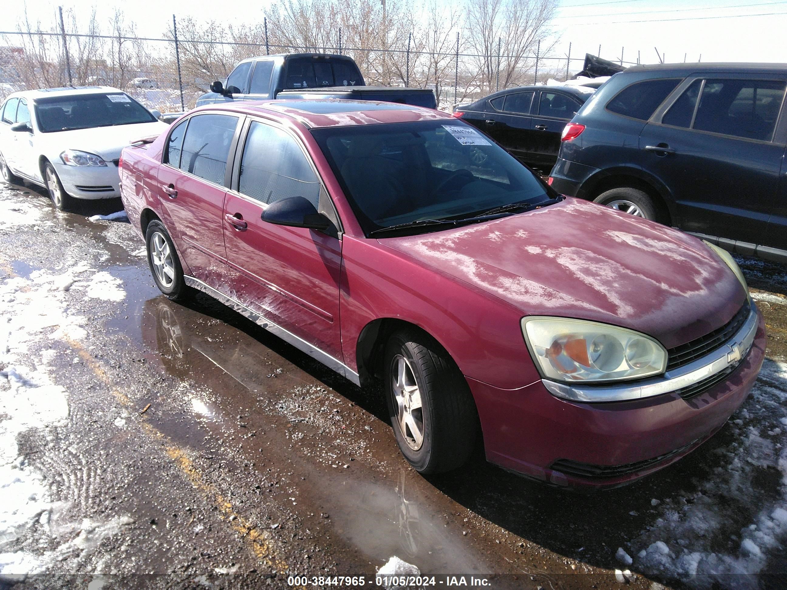 chevrolet malibu 2005 1g1zt54825f285857