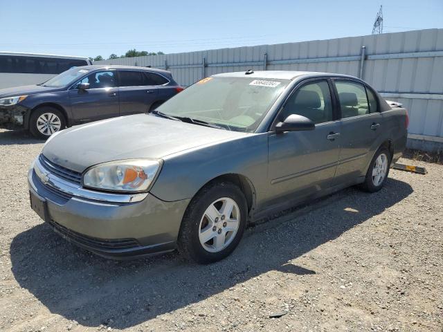 chevrolet malibu 2005 1g1zt54895f301889