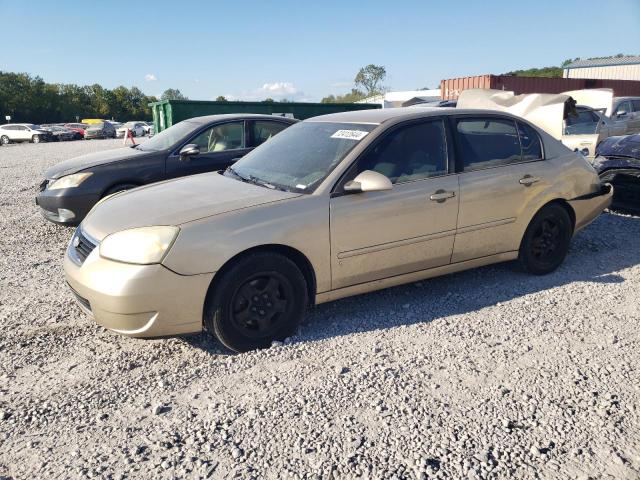 chevrolet malibu lt 2007 1g1zt58n17f244445