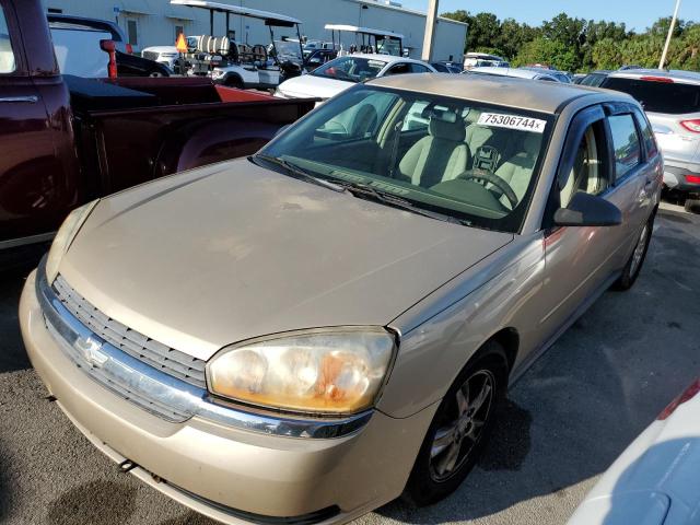 chevrolet malibu max 2005 1g1zt64855f156288