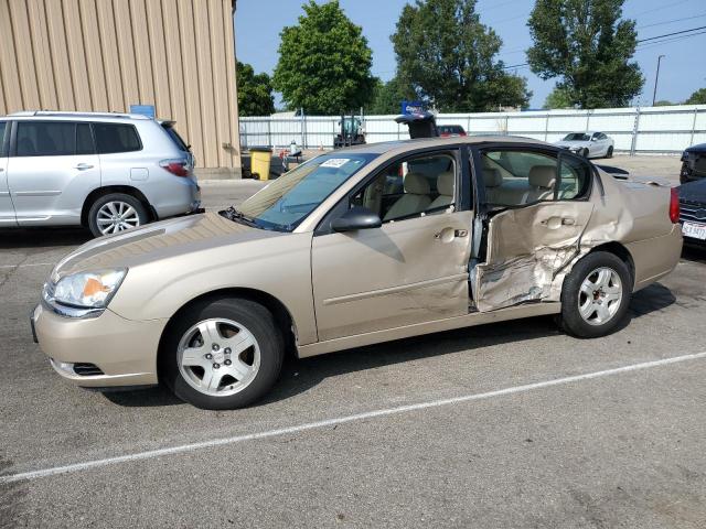 chevrolet malibu lt 2004 1g1zu54814f199810