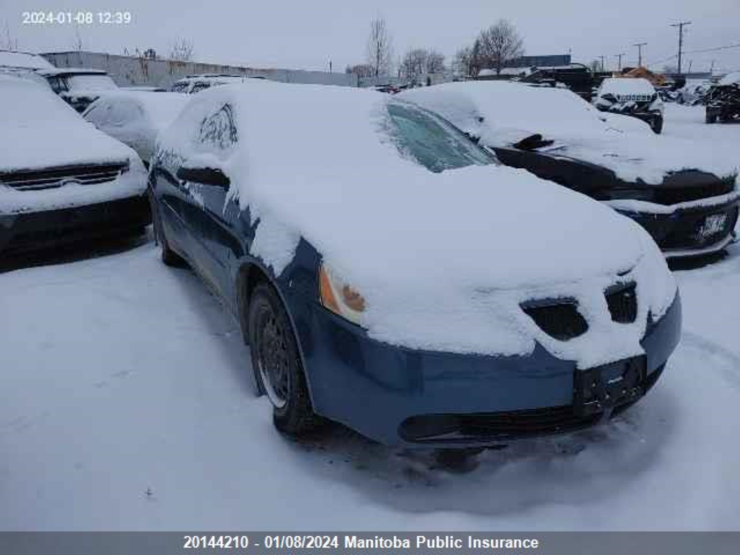 pontiac g6 2006 1g2zf55bx64259758