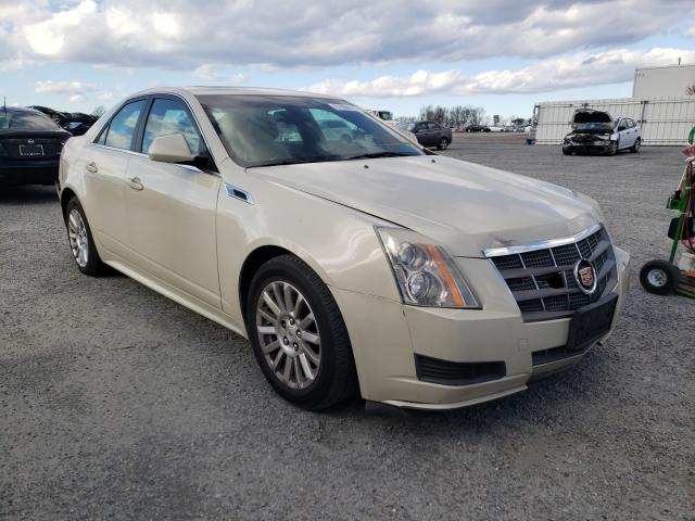 cadillac cts 2011 1g6de5ey4b0124065