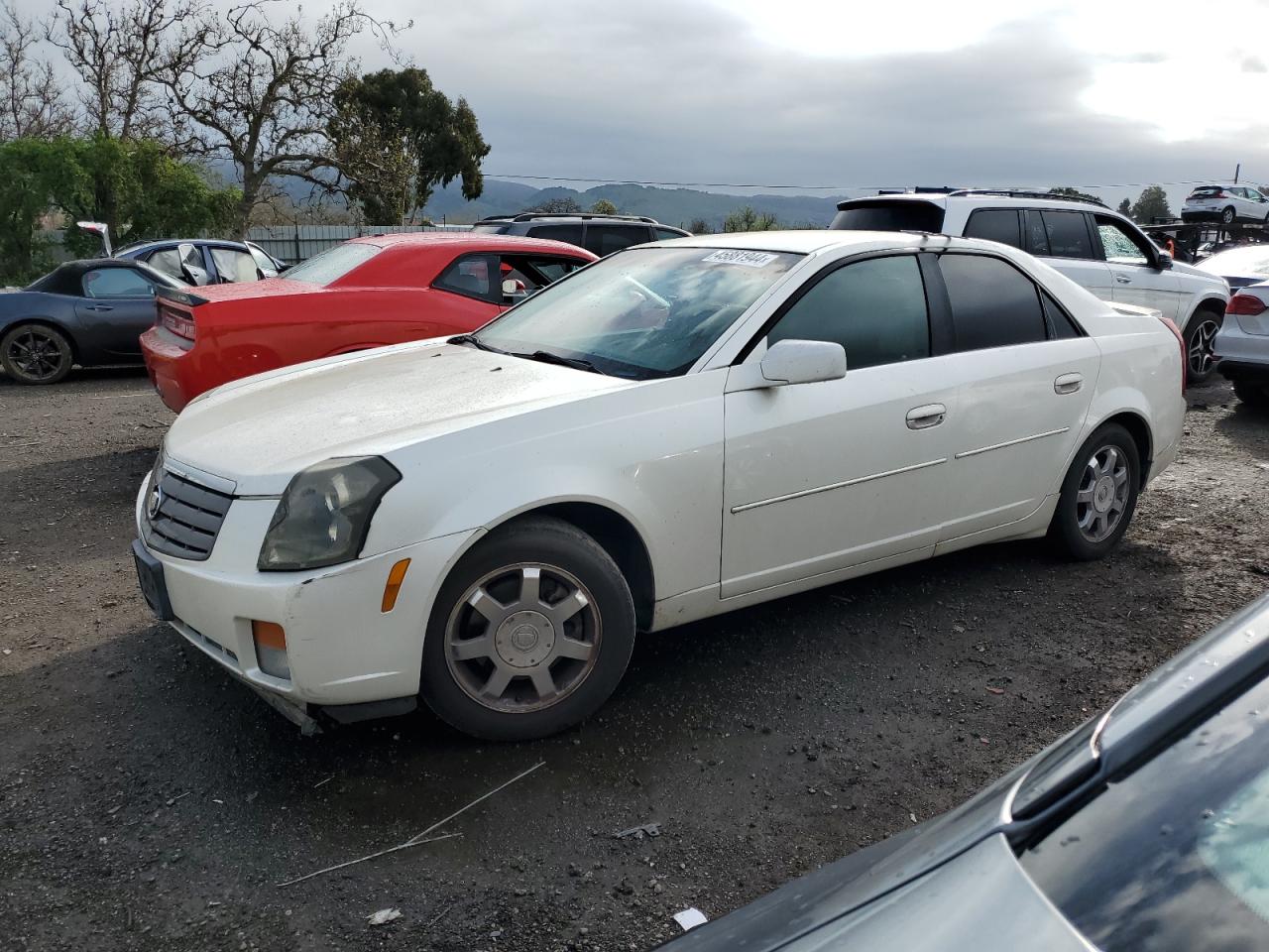 cadillac cts 2004 1g6dm577440100343