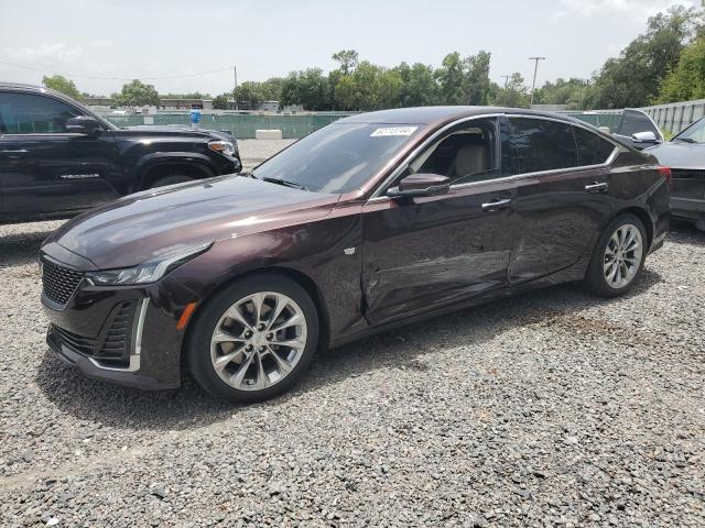 cadillac ct5 premiu 2020 1g6dn5rk8l0151096