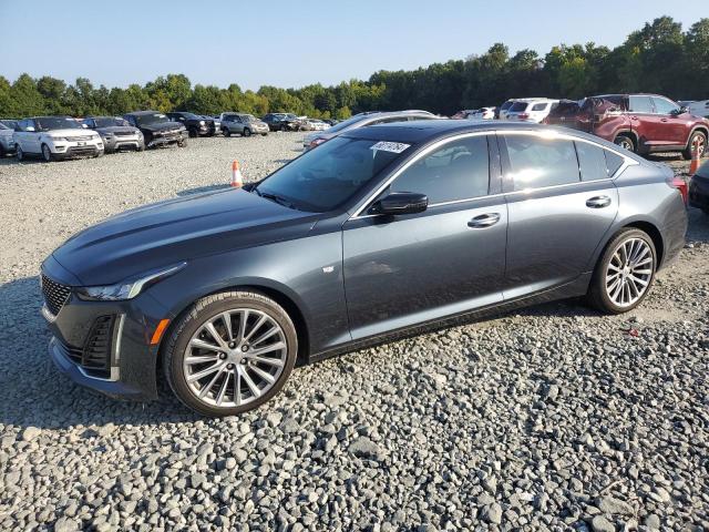 cadillac ct5 premiu 2021 1g6dn5rw0m0131381