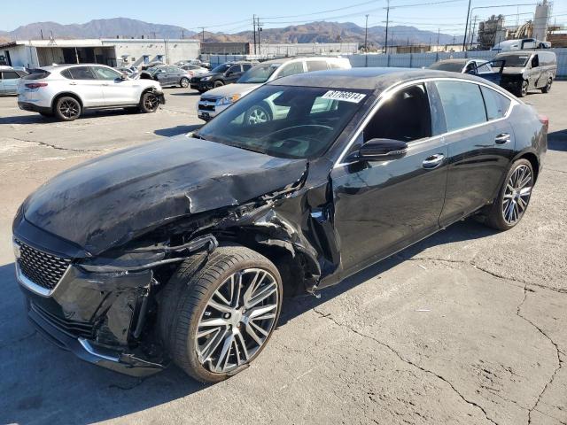 cadillac ct5 premiu 2023 1g6dn5rw9p0106399