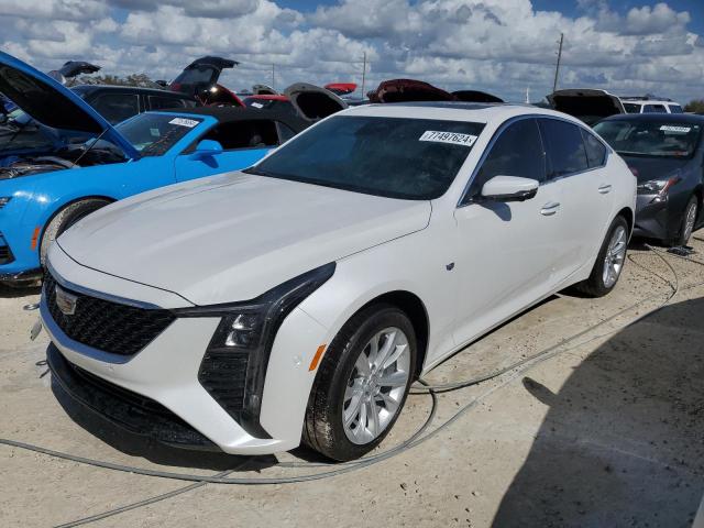 cadillac ct5 premiu 2025 1g6dn5rw9s0100675