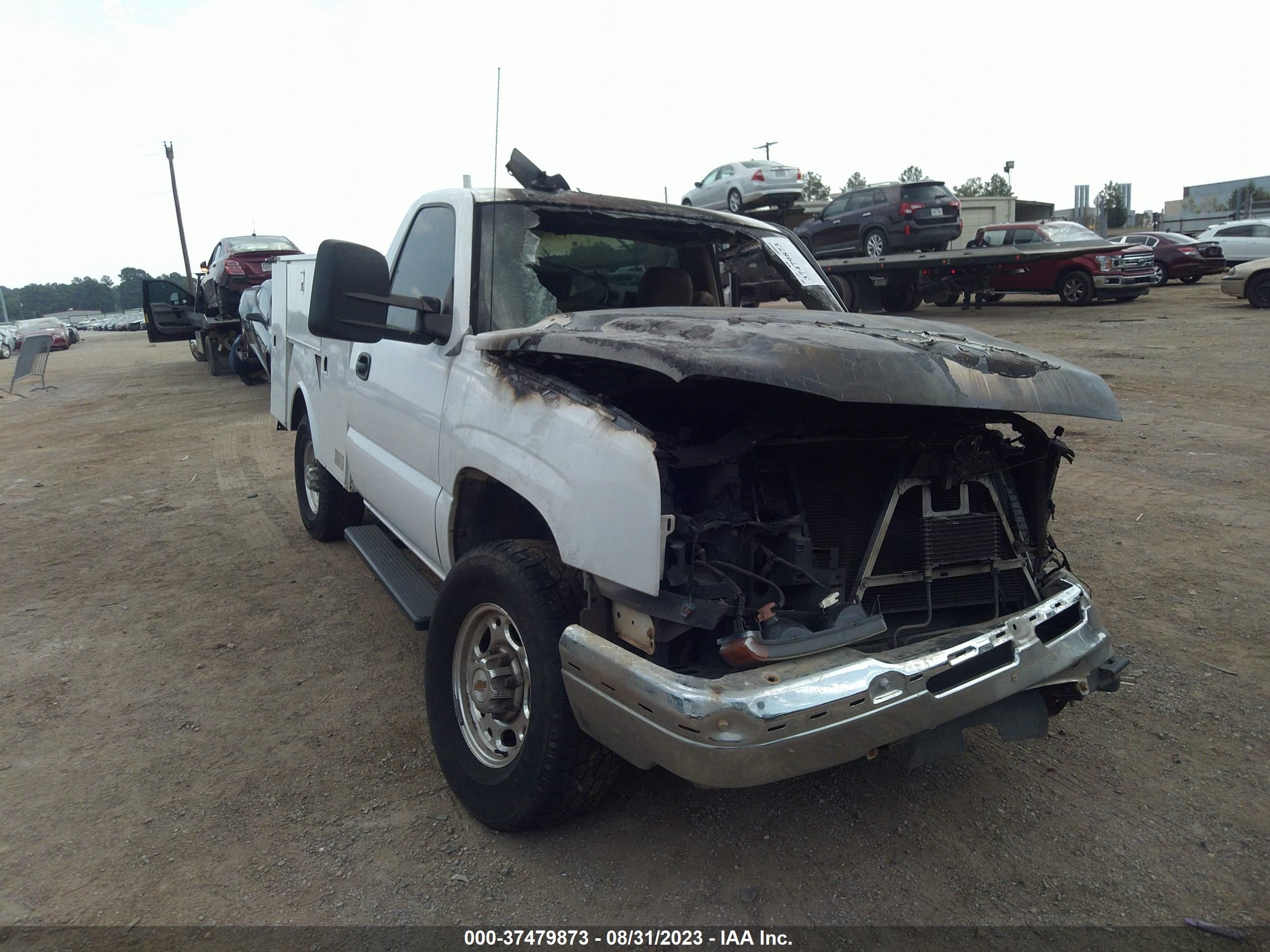 chevrolet silverado 2006 1gbhc24u26e128615