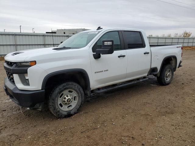 chevrolet silverado 2020 1gc1yle71lf176061