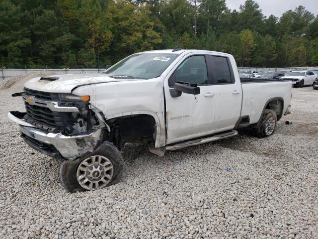 chevrolet silverado 2024 1gc5wne75rf133659