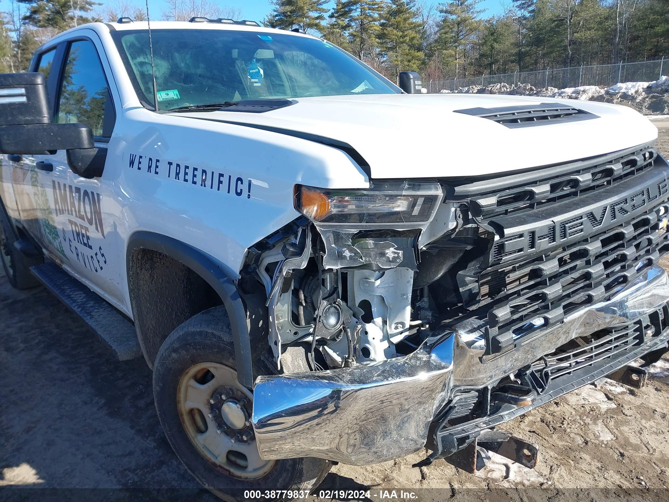 chevrolet silverado 2020 1gc5yle74lf304908