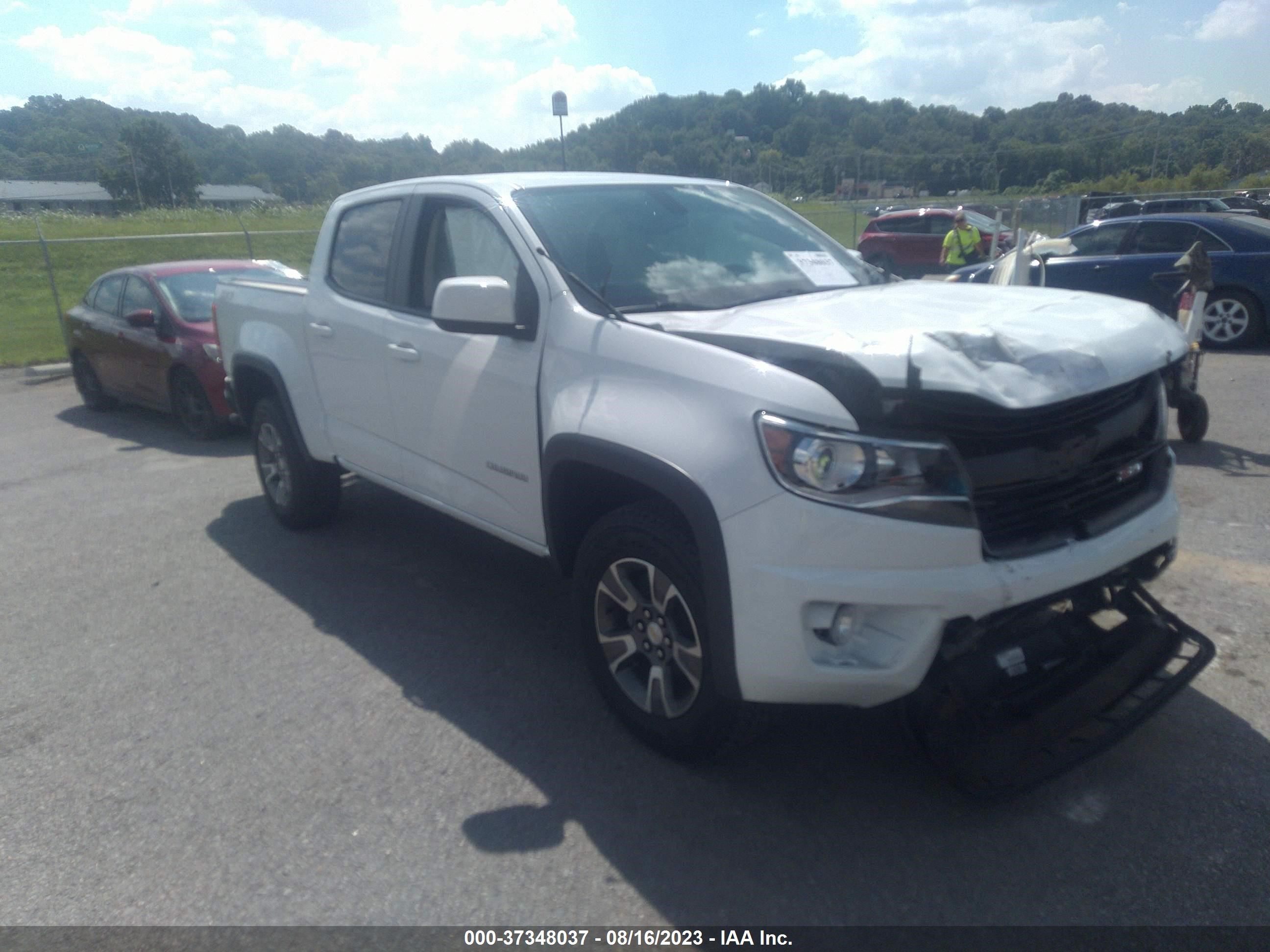 chevrolet colorado 2019 1gcgtden7k1262564